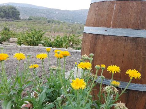 Natural-wine garden design in Benissa (Alicante)