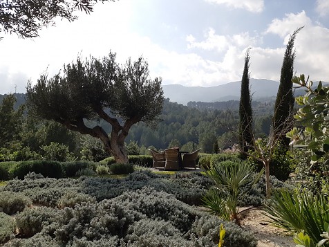 Jardines en tiempos de pandemia